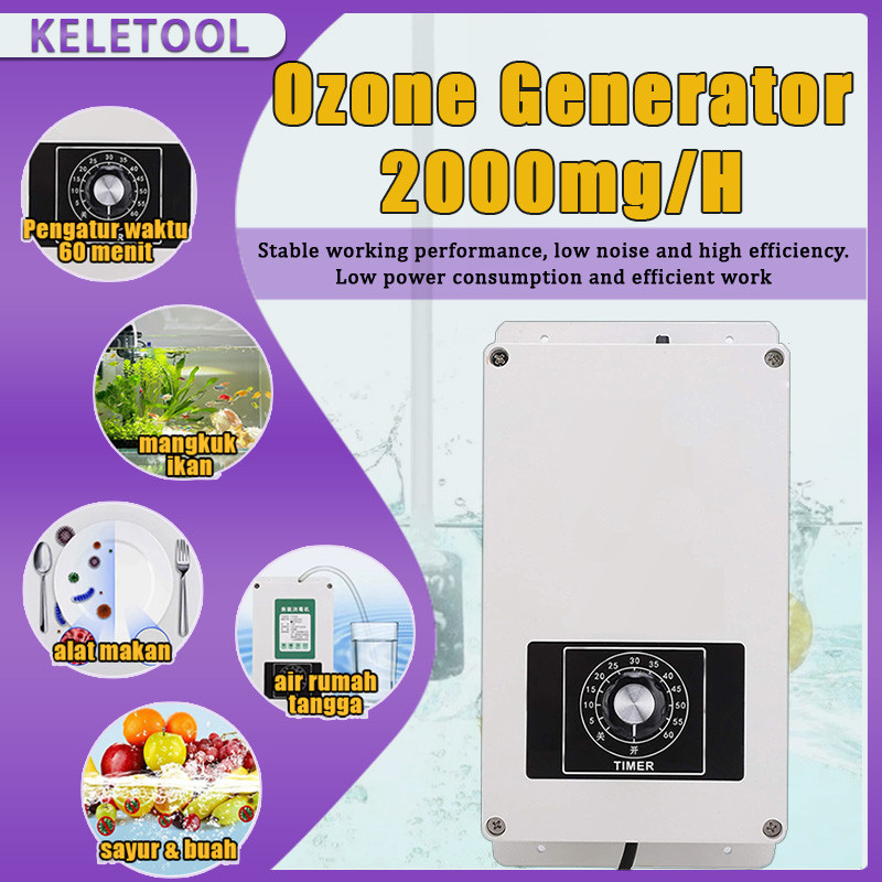 Generator Ozon Bak Plunge Dingin Mandi Es 2000mg/H Tetap Dingin Bersih Lebih Lama Sayuran Akuarium I