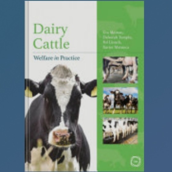 Buku Dairy Cattle Welfare in Practice