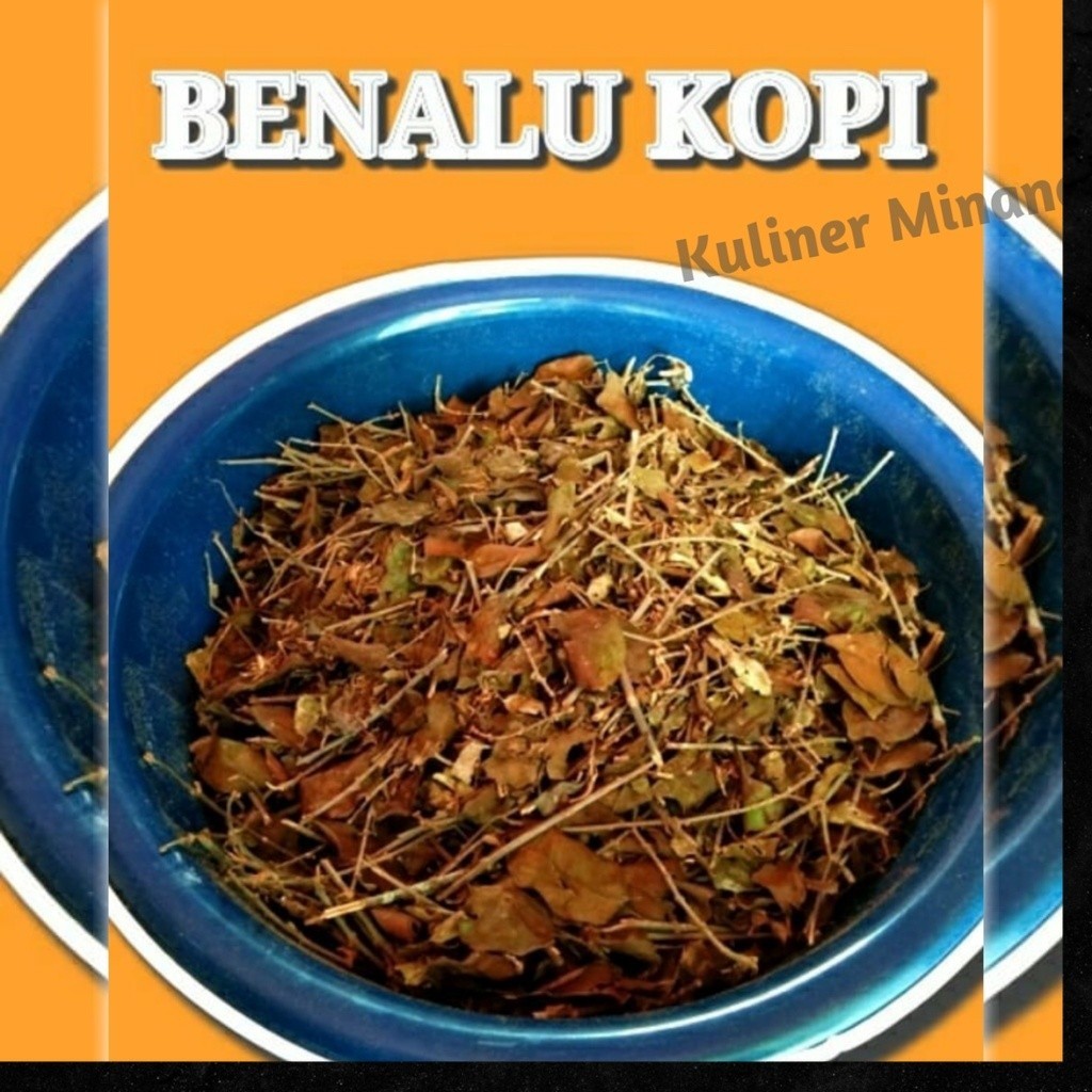 

Herbal Teh Pahit Daun Benalu Kopi