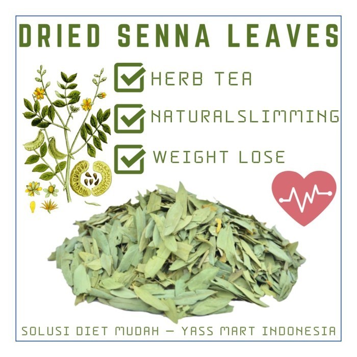 

Kila Original Teh Jati Cina 40 Gr Detox Tea / Senna Leaf / Herb Tea Teh