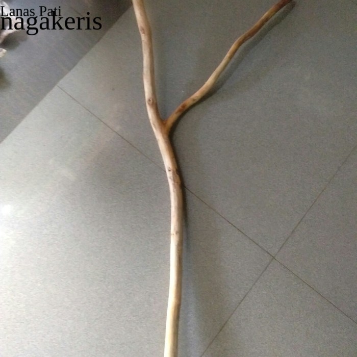 

ranting kayu jati cabang 50 cm - ranting kayu macrame FXN7 XD9