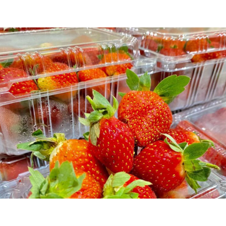 

Strawberry Fresh 1kg