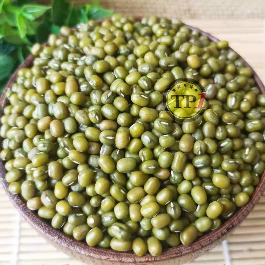 

Kacang Hijau Large Green Mung Beans Kualitas Super Import 500g SS