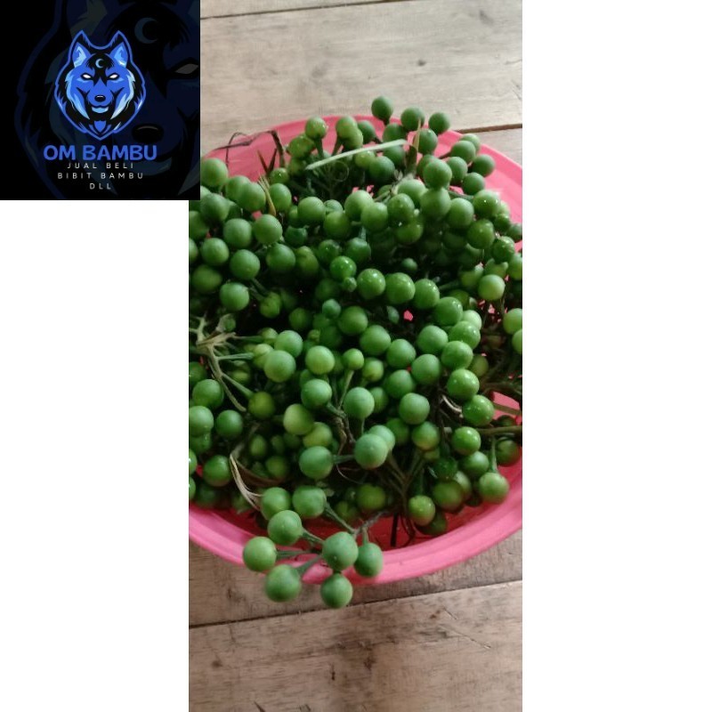 

BUAH TAKOKAK MURAH PISAN 500GRAM