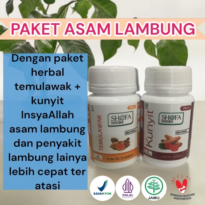 

Paket Herbal Asam lambung dan maag Sambiloto dan temulawak