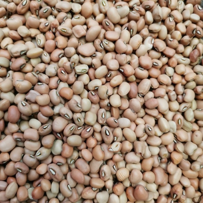 

[[ K23 - BEST SELLER ]] Kacang Tolo/ Tunggak 1 kg / 1000 gr