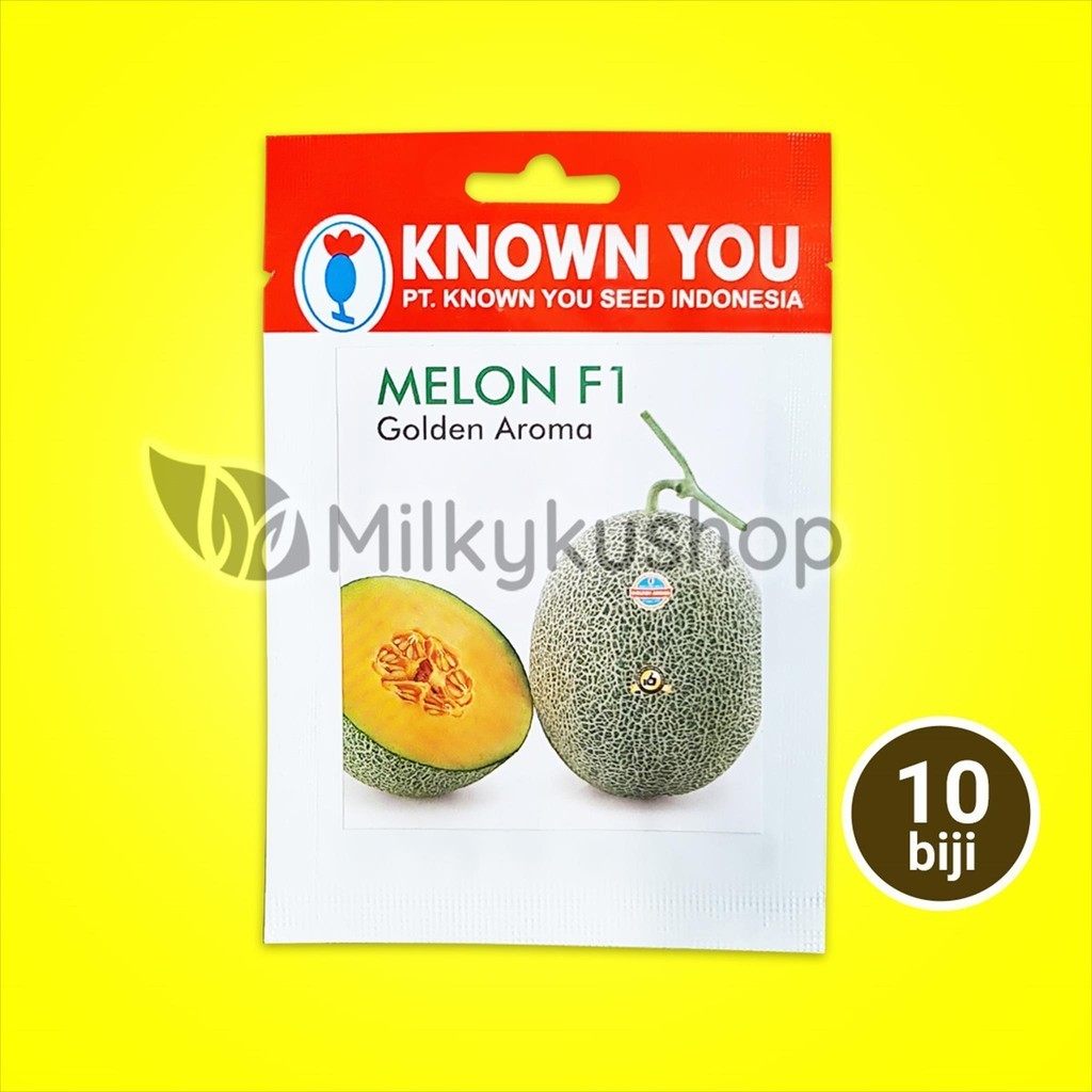 BENIH KYS KNOWN YOU SEED MELON F1 GOLDEN AROMA KEMASAN PABRIK