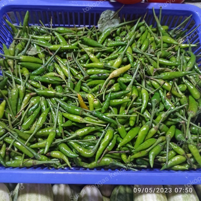 

Cabe rawit merah [ORDER 250-GRAM]