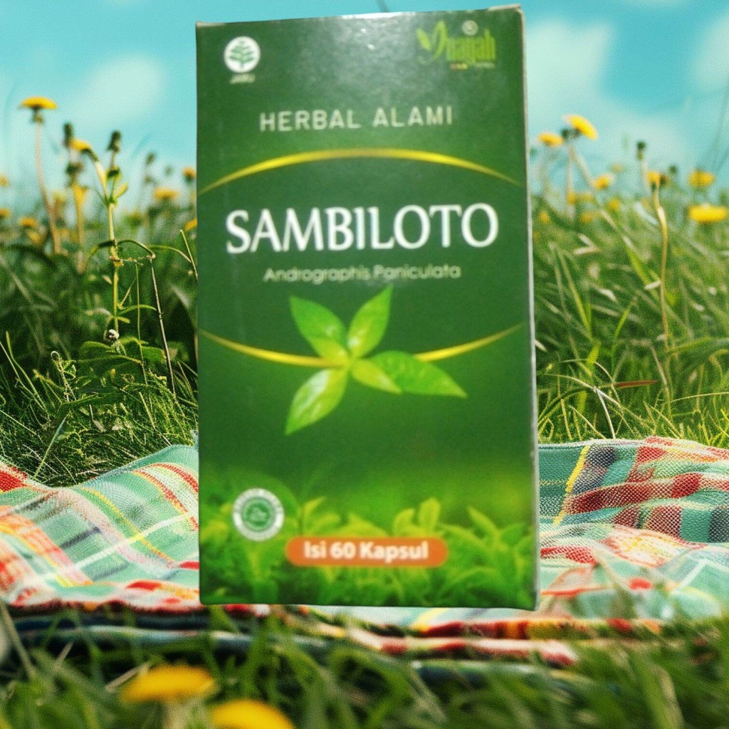

BEST PROMO!!! kapsul sambiloto