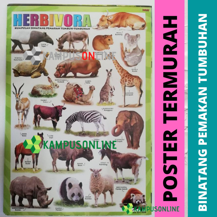 POSTER HEWAN HERBIVORA - POSTER EDUKASI ANAK - POSTER BELAJAR MURAH - ANEKA IKAN