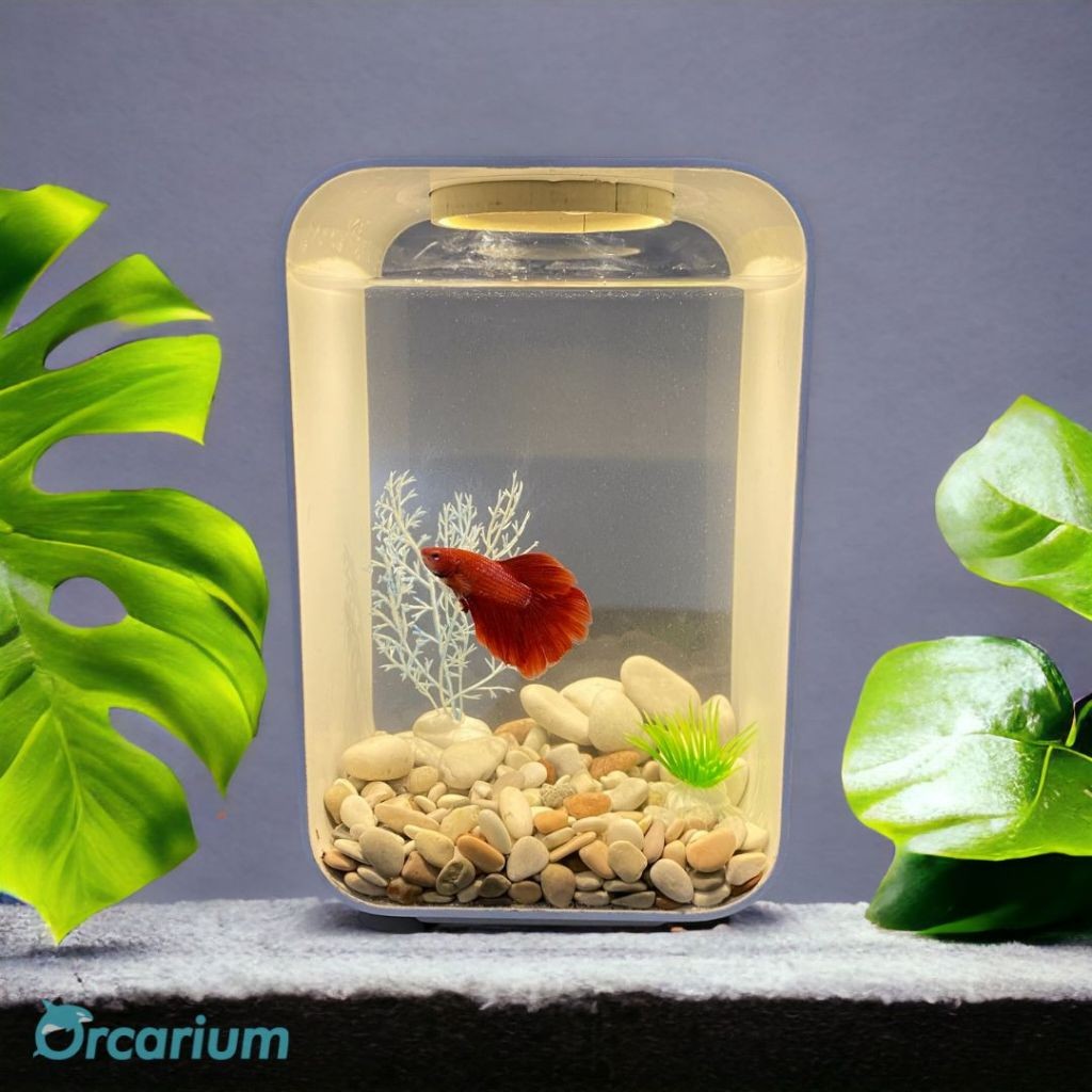 BH24R Orcarium Lobe Series dengan lampu BIRU, PUTIH, KUNING/Aquarium Minimalis Aesthetic/Akuarium Cu