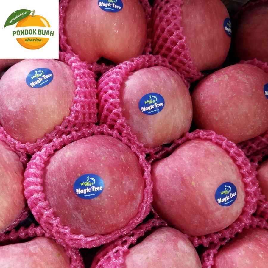 

APEL FUJI PREMIUM Grade A BERKUALITAS HARGA PERKILO