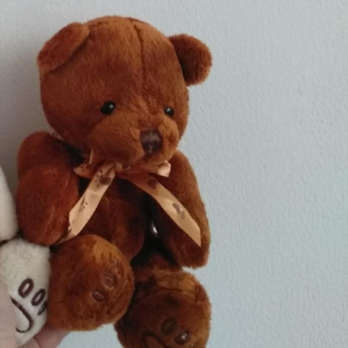 Teddy Bear - Boneka Graduation - Boneka Wisuda - TogaHitam 10"BW