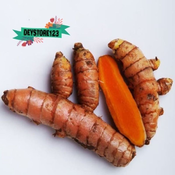 

Kunyit kuning Segar 1 kg obat herbal - 250gr Rempah_herbalCo