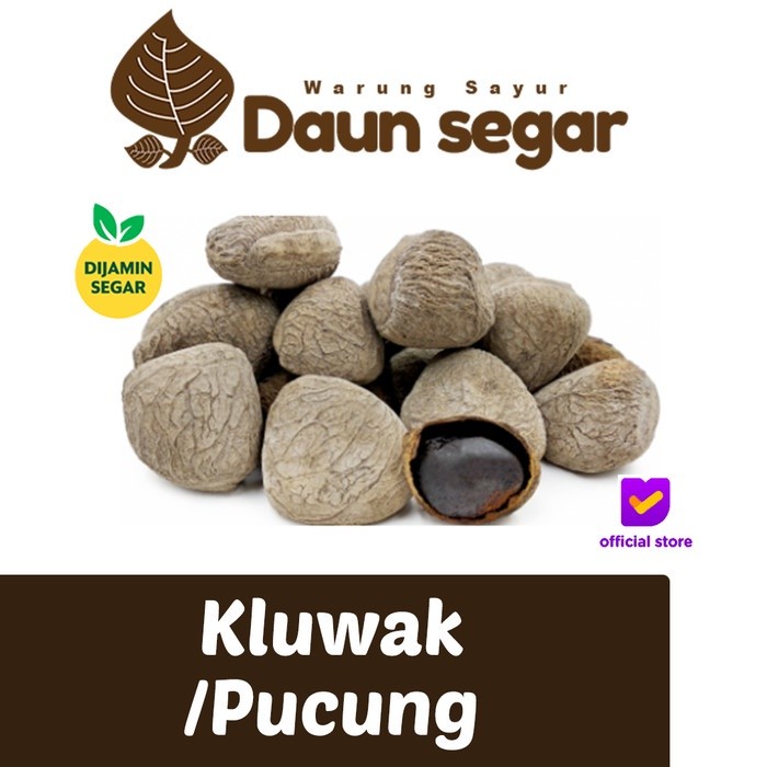 

Kluwak keluwek Pucung Kepayang Rawon bahan rawon murah Per bungkus 250gram Dijamin Gaada kopong - daun segar daunsegar