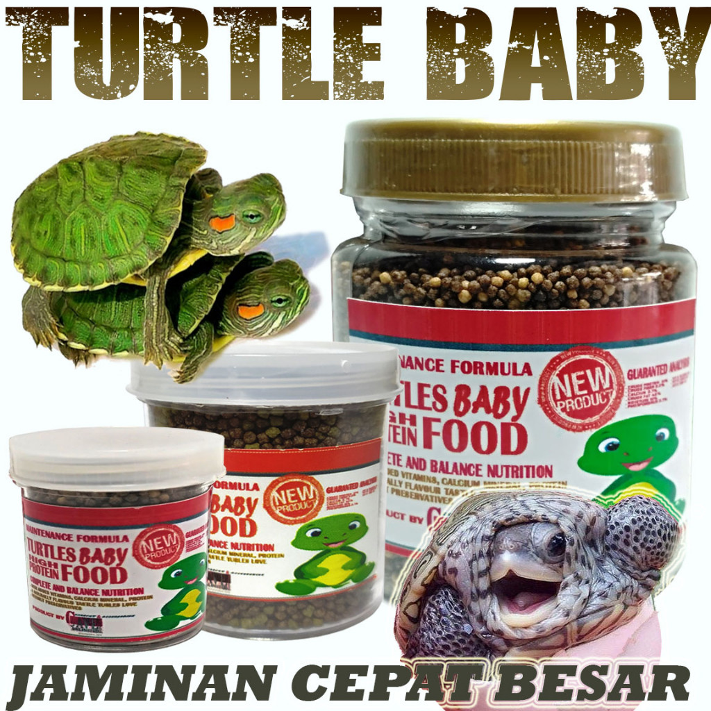MAKANAN PAKAN ANAK BAYI KURA KURA AIR BABY TINGGI HIGH PROTEIN TURTLEREPTILE AIR PELLET BRASIL RAZOR