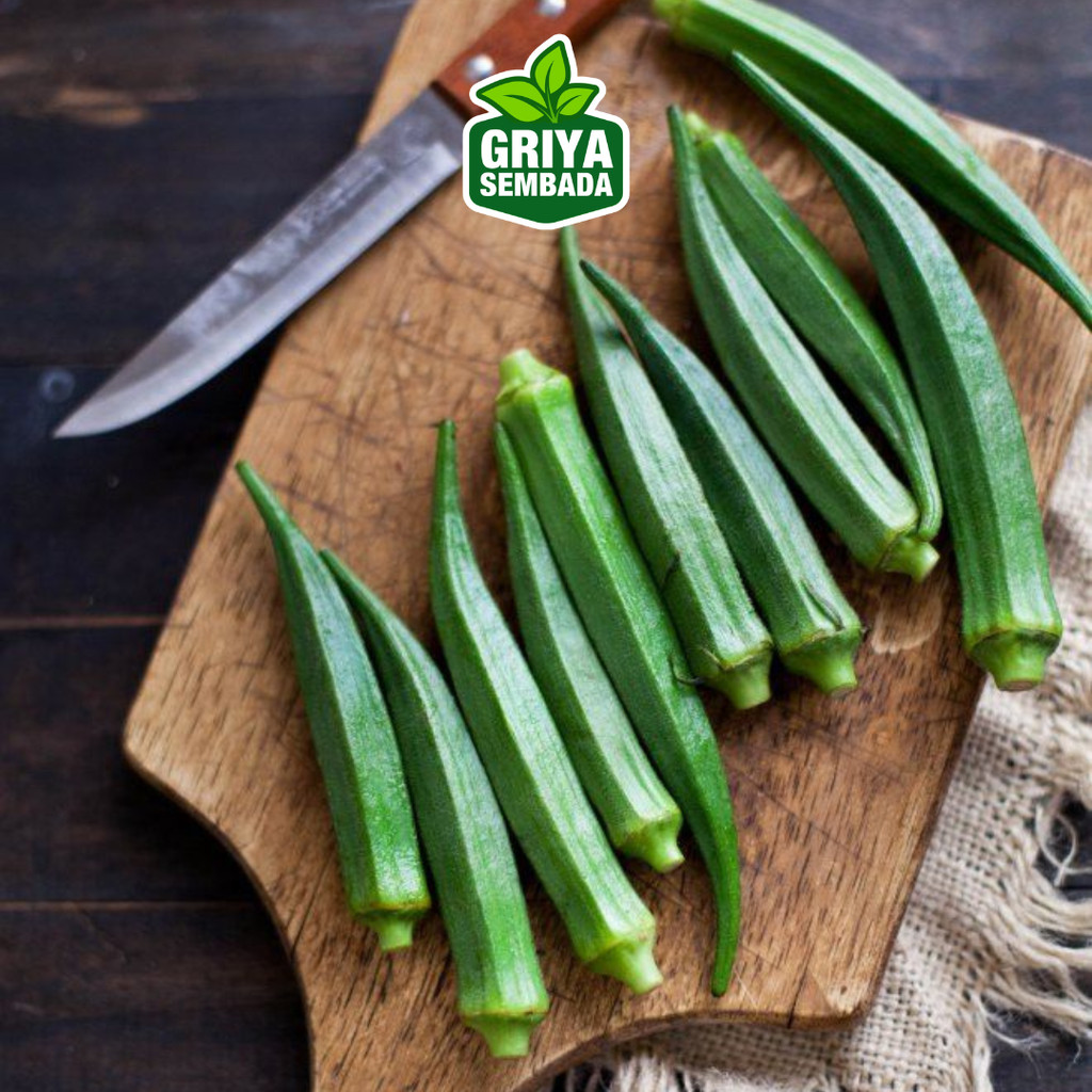 

Okra Fresh Grade B 1kg Baru Petik Dari Pohon