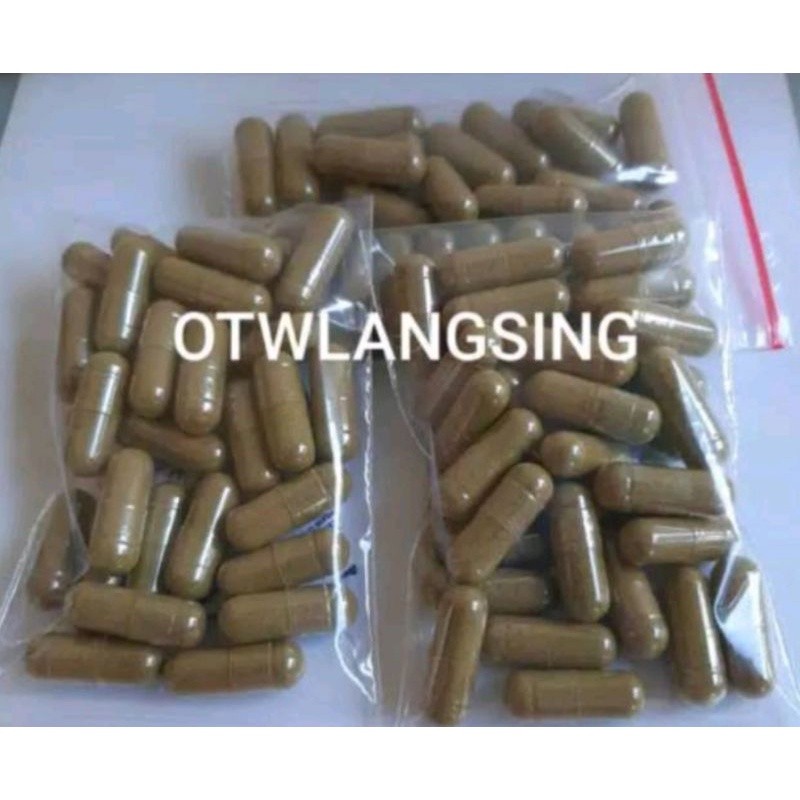 Pelangsing Pinky Kapsul Hijau Otwlangsing Fiber Booster Magic Mejik NR ODD ODH Slim Obat Diet langsu