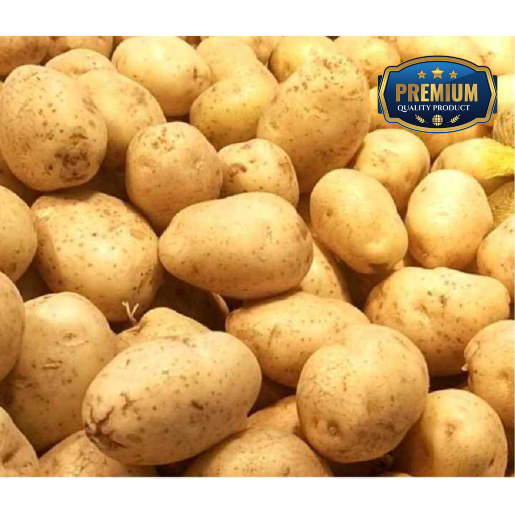 

Kentang Dieng Super [ Ukuran Sedang 1 Kg ]