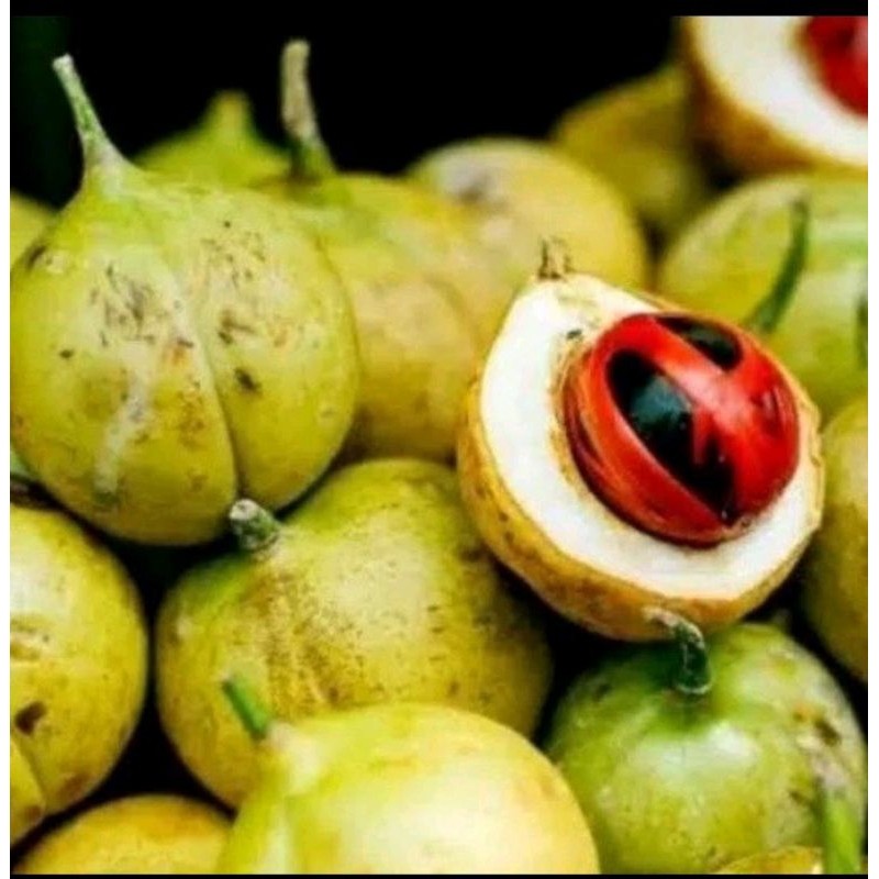 

.Buah pala segar tanpa kupas . bahan MANISAN 1000gram SL