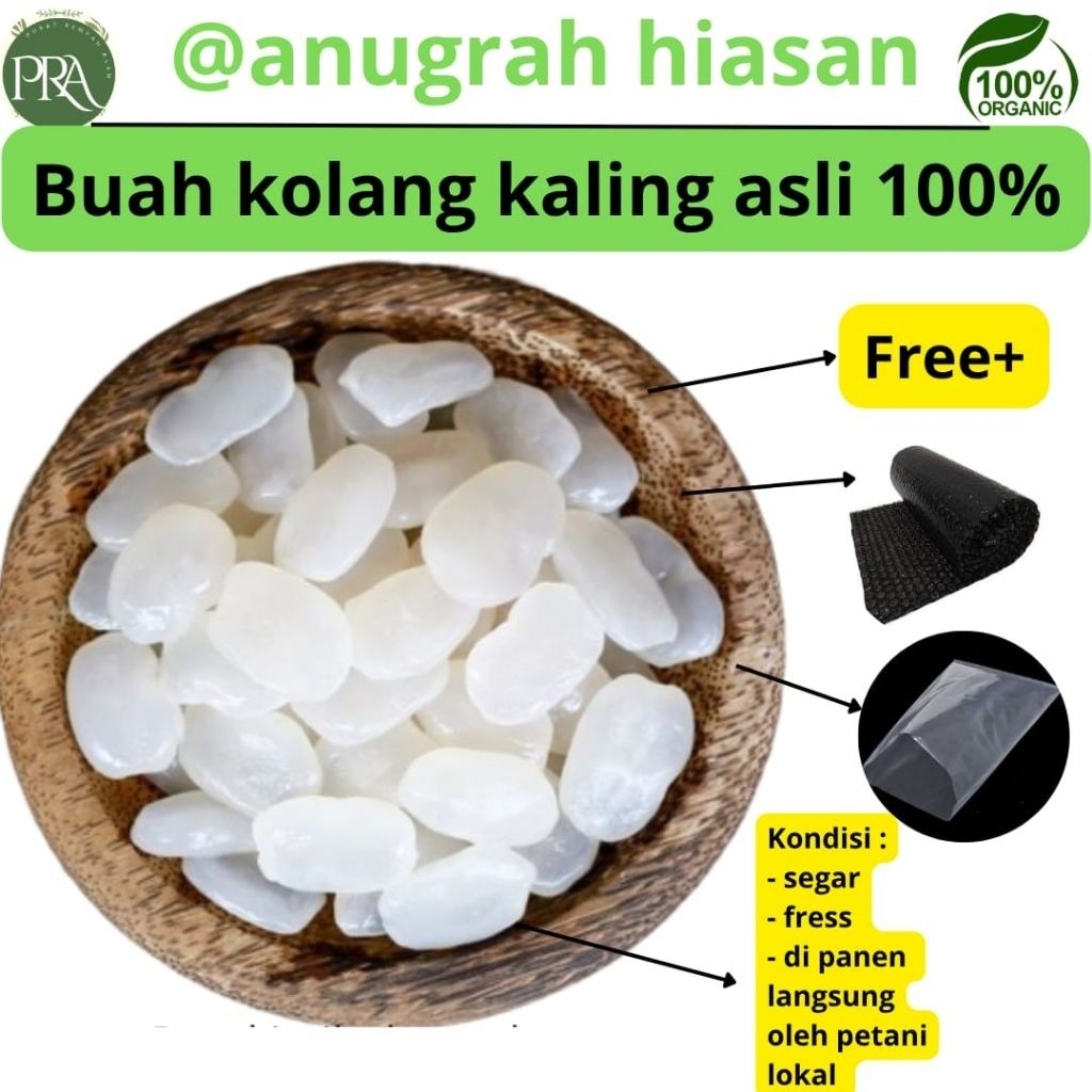 

Buah kolangkaling 1kg segar asli 100% fres kualitas terjamin keasliannya
