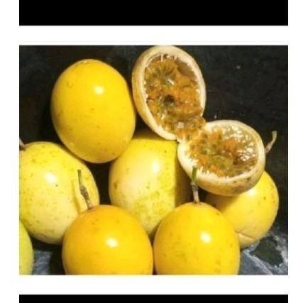 

Promo Buah markisa sgar buah konyal 1 kg