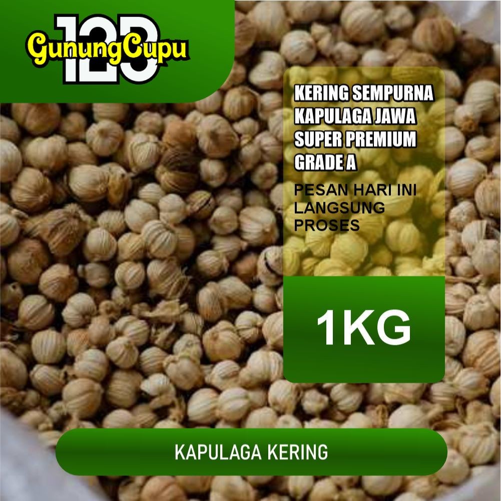 

Kapulaga Kering 1Kg Kapolaga Jawa