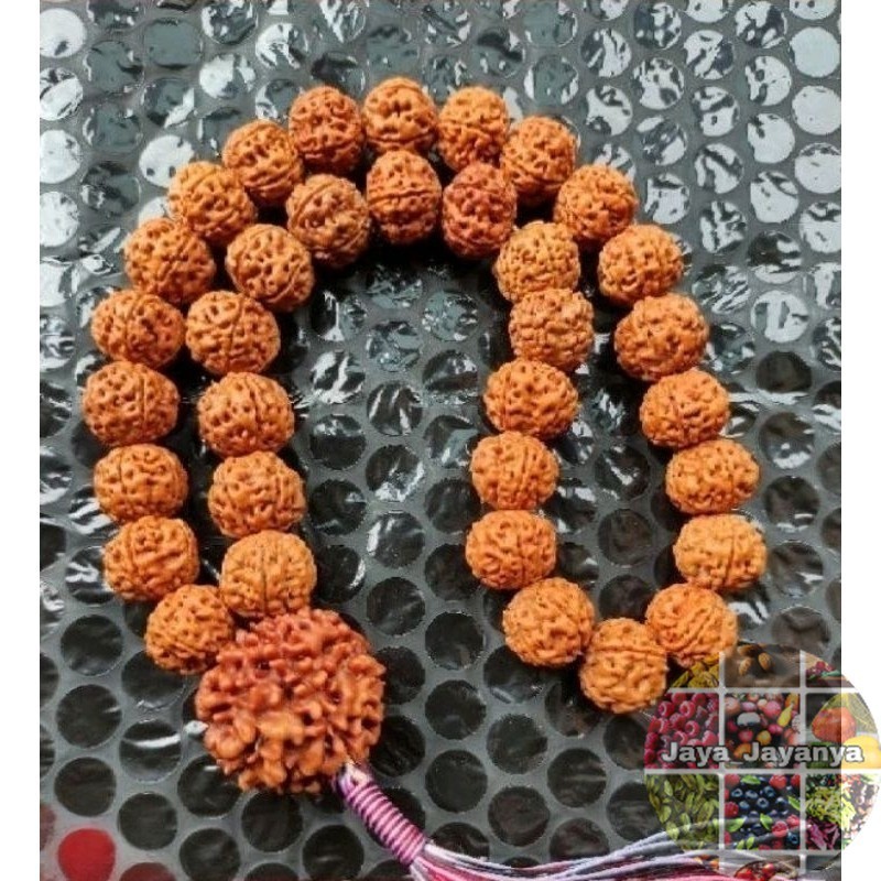 Tasbih 33 Jenitri Rudraksha 33 Muslim Size Biji 10-12Mm Tridatu Bandul Besar Tasbeh Tasbeh Jaya_Jaya
