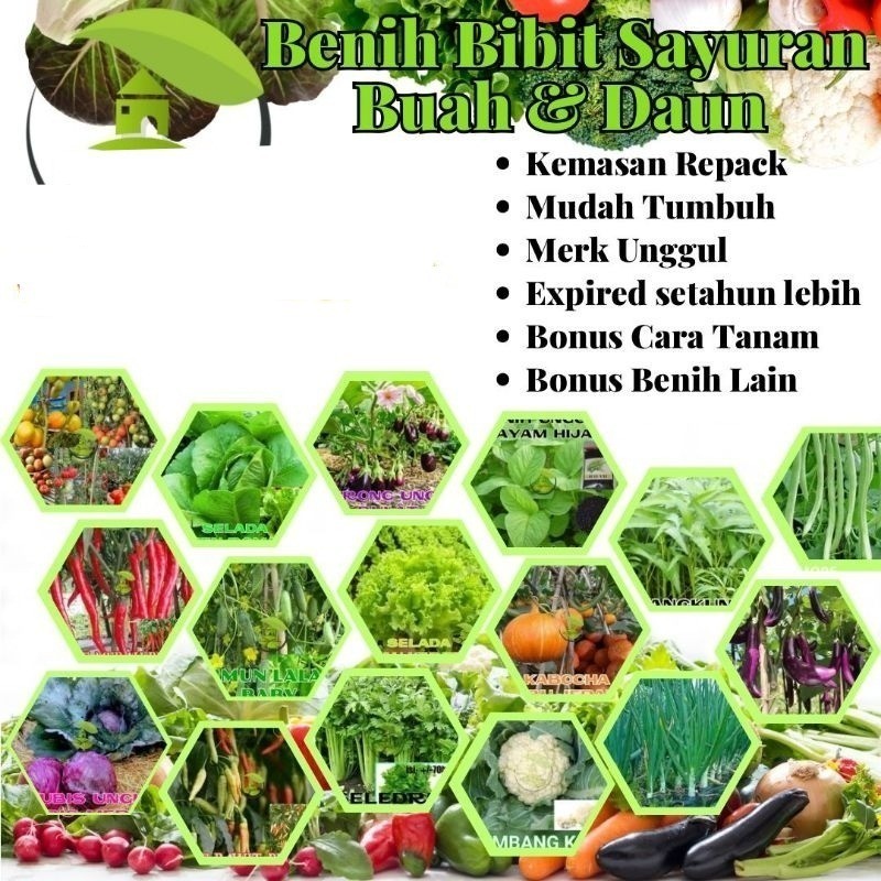 Benih Sayuran Unggul Ratusan Benih Sayur Benih Bibit Sayuran