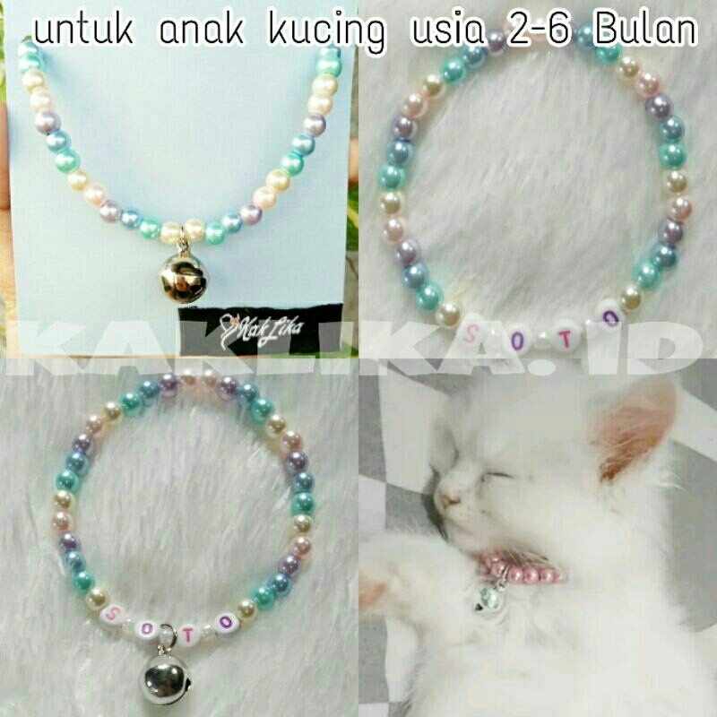 Kalung Anak Kucing Mutiara untuk Kitten 2 - 6 Bulan