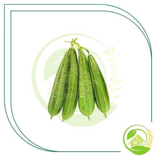 

Sayur Oyong Segar 500gr