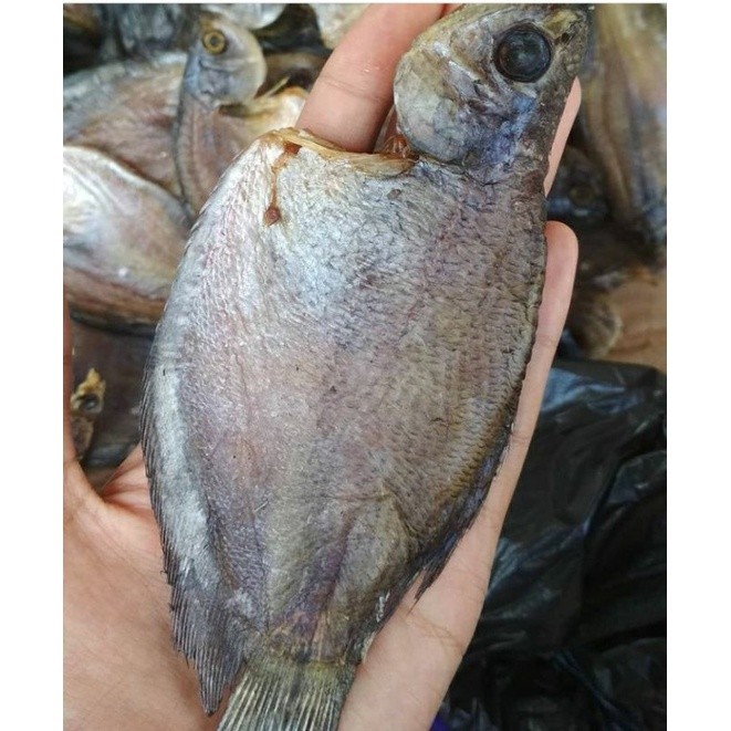 

Ikan Asin Sepat Siam / Berat 250 gram