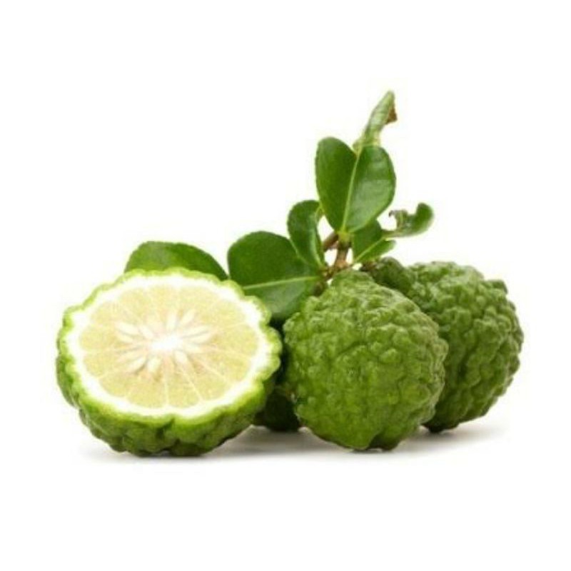 

Limau Kuit / Jeruk Purut khas Banjar / Berat 1000 gram