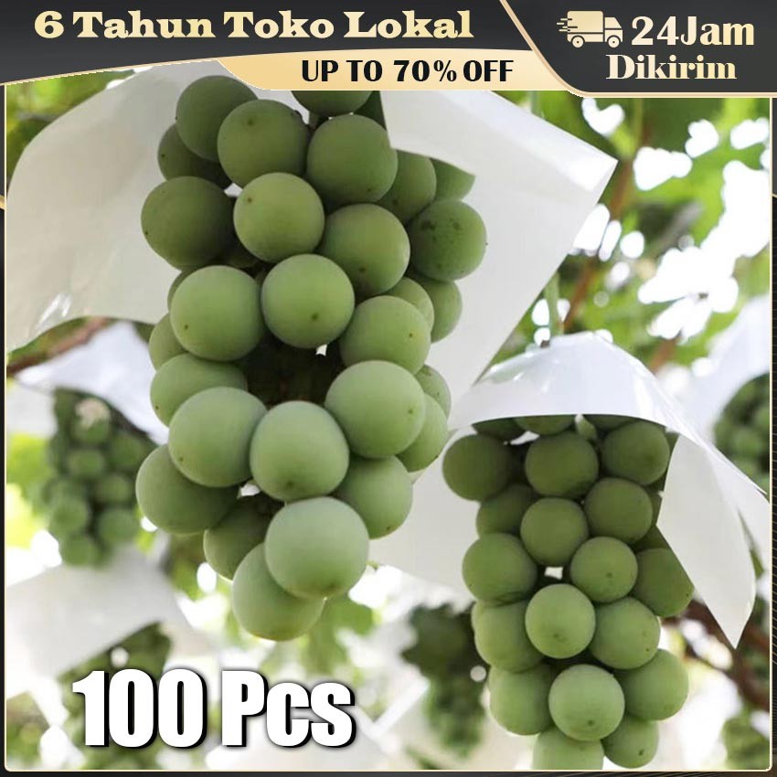 26*26 Fruit Cover Brongsong Buah / Payung Anggur Fruit Cover Pembungkus Pelindung