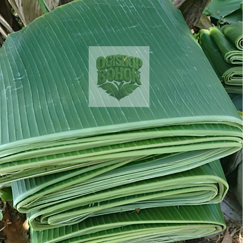 

Daun Pisang Kepok segar 1 KG
