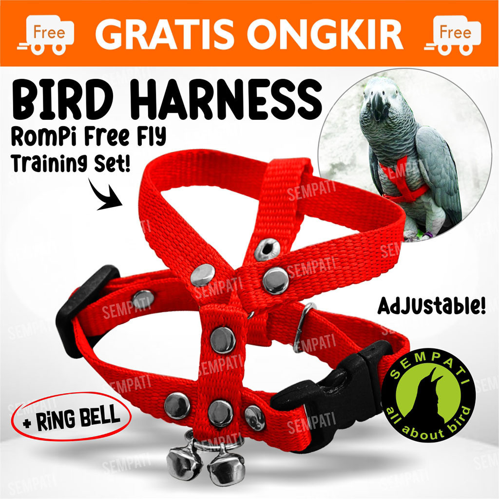 SEMPATI Harnes Burung Parrot Merpati Alap Alap Paruh Bengkok Lovebird Dara Nuri Beo Afgrey Parkit Ma