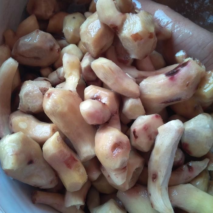 

jahe merah kupas 1 kg - 500 gram