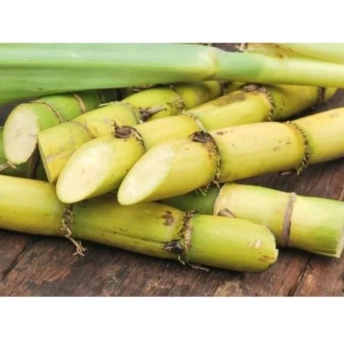 

ready stok promo 1kg tebu kuning manis garansi uang kembali