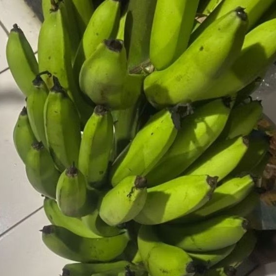 

Buah Pisang Mentah QB 500 Gram Pisang Bangkaulu Fresh