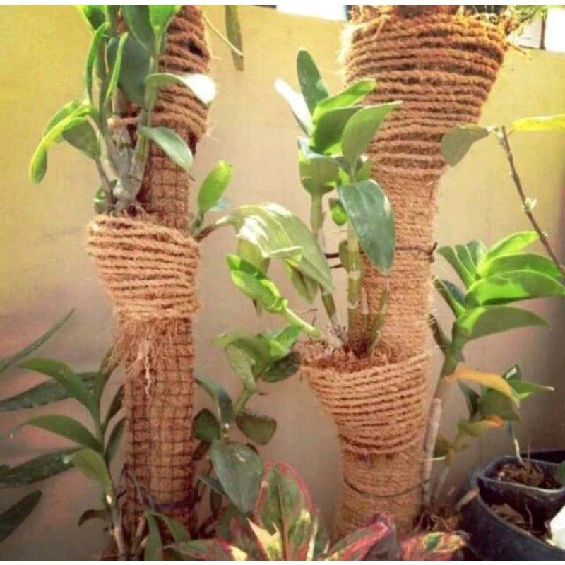 tali tambang sabut kelapa/tali anggrek sabut kelapa murah