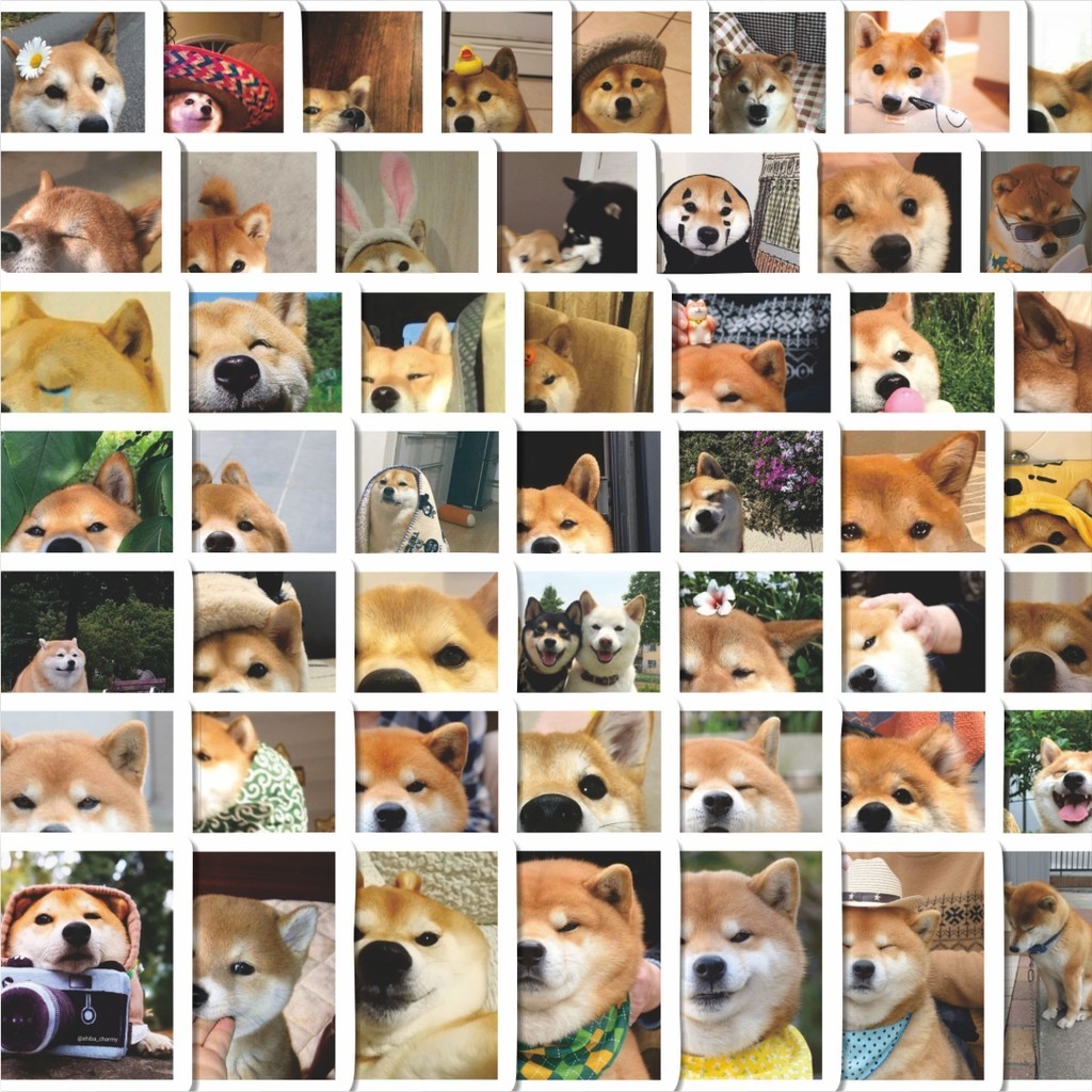 

Stiker Cutting Pack Stiker Ekspresi Wajah Corgi Shiba Inu Isi 100Pcs Series Aesthetic Lucu Keren Untuk Koper Bahan Vynil