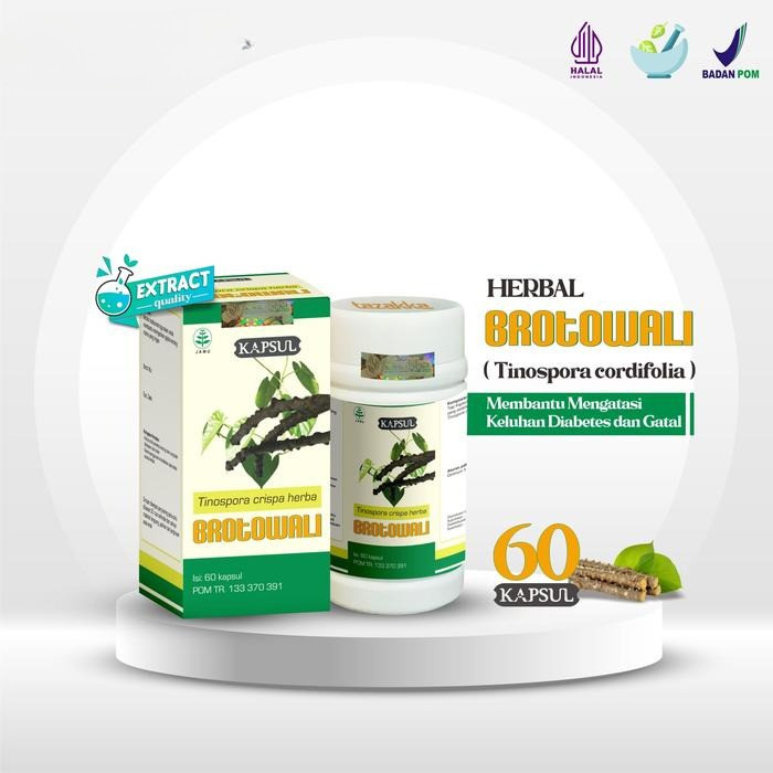 Jamu Daun Brotowali Ekstrak Herbal Tazakka Original Kapsul Brotowali Herbal Diabetes dan Biduran