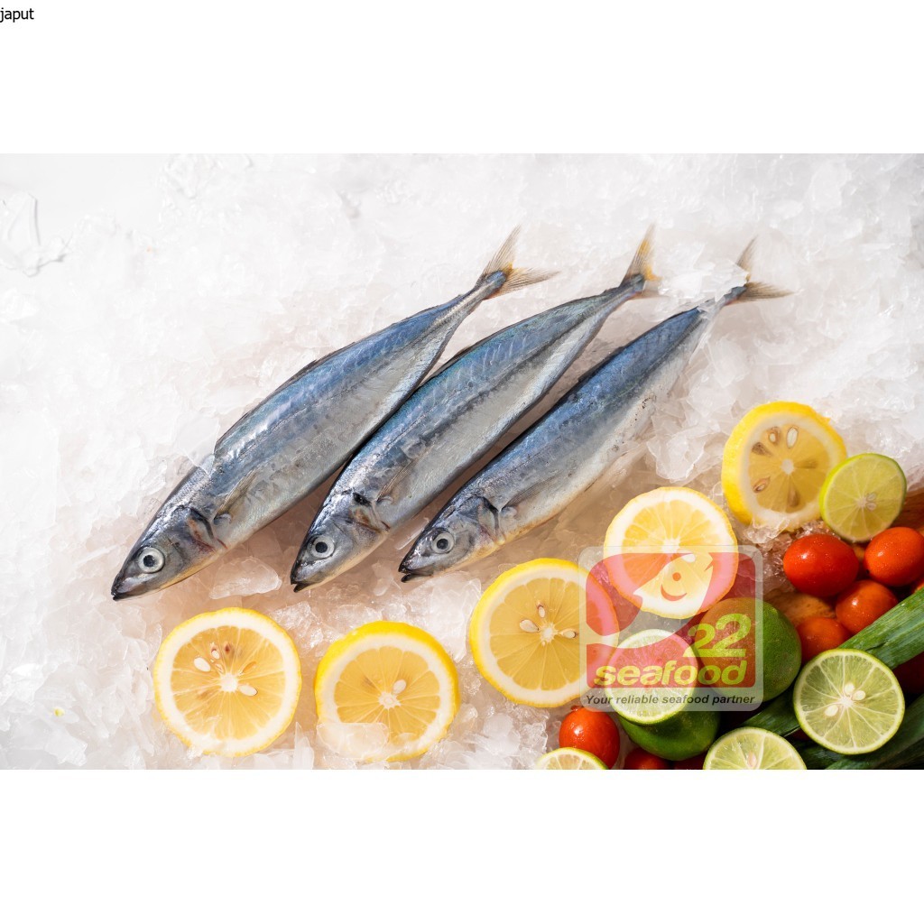 

Ikan Layang 1 kg / Layang Jumbo Muroaji