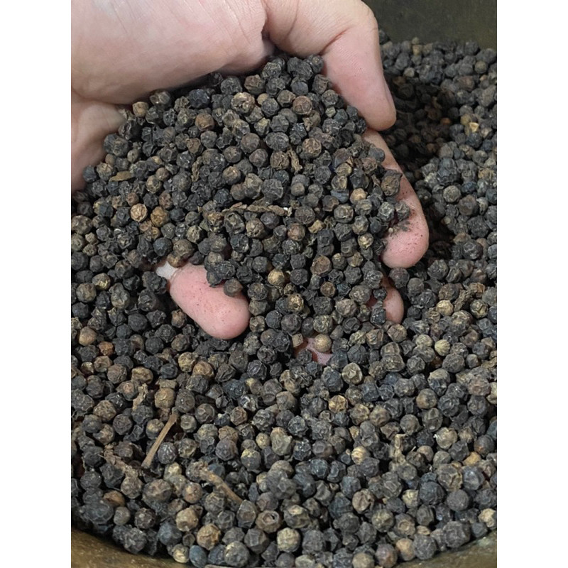 

Lada Hitam Butir 1kg / Kualitas Terjamin Bagus - Biji Merica Hitam 1kg