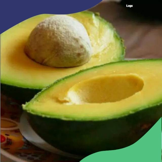 BIBIT ALPUKAT MIKI KONDISI BERBUNGA