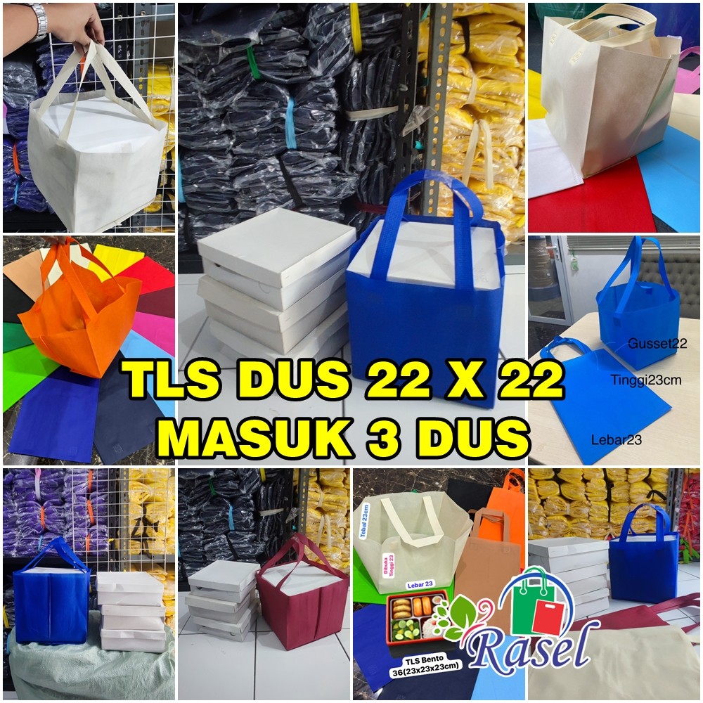 

TLS dus 22x22 box nasi kotak kue goodie bag 23x23x22 cm goody tas spunbond polos murah