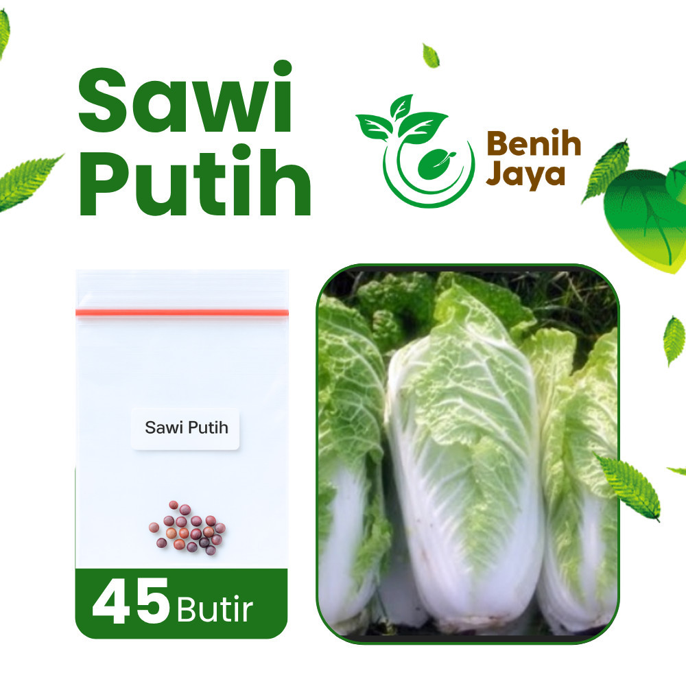 BENIH JAYA - Benih Sayur Sawi Putih, Bibit Sayur Sawi Putih Berkualitas, Lembut, Mudah Tumbuh