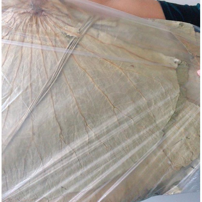 

Promo Daun teratai kering untuk lomaikai - 100gr