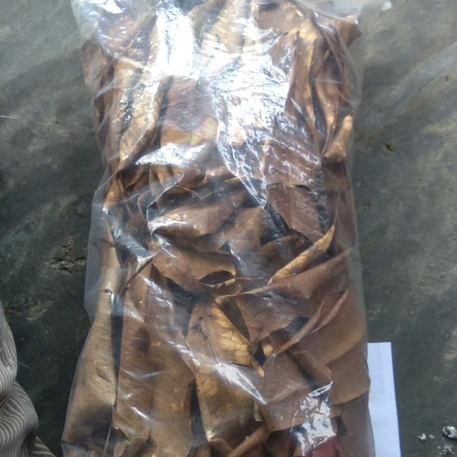 

daun salam kering - cocok untuk bumbu masak