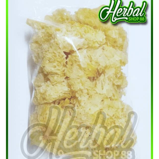 

Bai Mu Er 1 kg / Jamur Putih Salju / Bokni Kuning